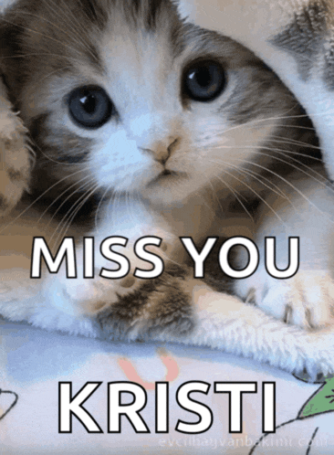 a kitten is laying on a blanket with the words miss you kristi above it