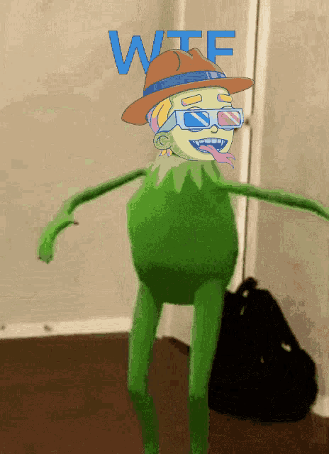 a cartoon character wearing a hat and sunglasses with the word wtf written above him