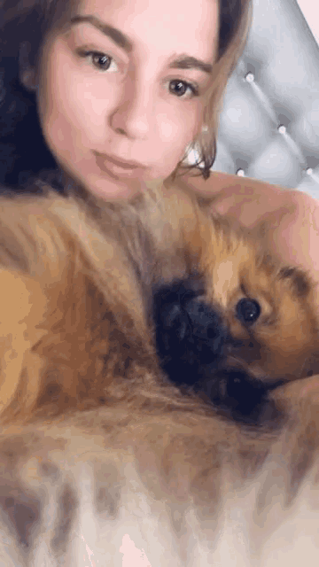 a woman is laying on a bed with a small brown dog
