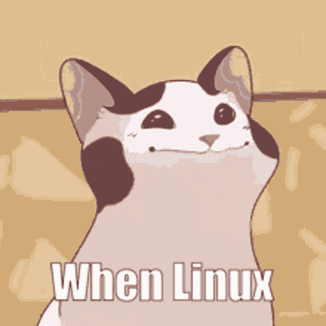 a cartoon cat with the words " when linux " written on it