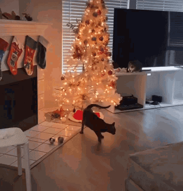 Cat Christmas Tree GIF - Cat Christmas Tree Bad Kitty GIFs