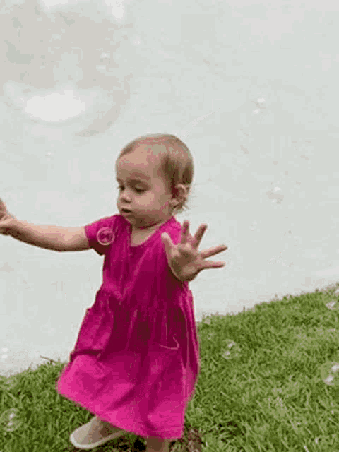 a little girl in a pink dress is playing with soap bubbles on the grass .