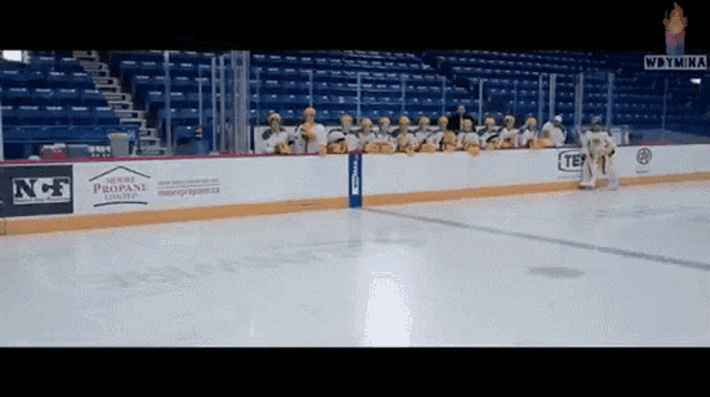a hockey rink with a propane ad on the side