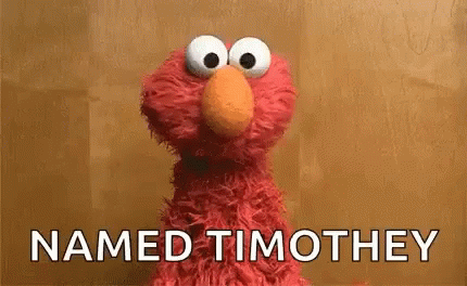 Im An Idiot Elmo GIF - Im An Idiot Elmo Named Timothy GIFs