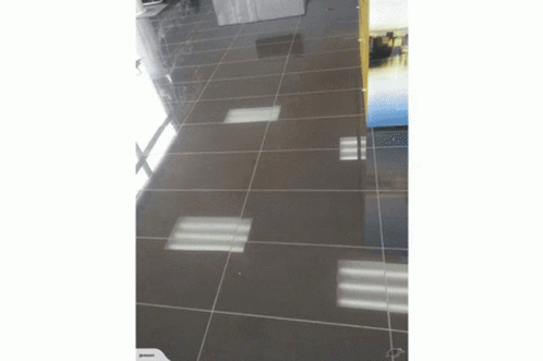 Porirua Tile Bathroom Tile GIF - Porirua Tile Bathroom Tile GIFs
