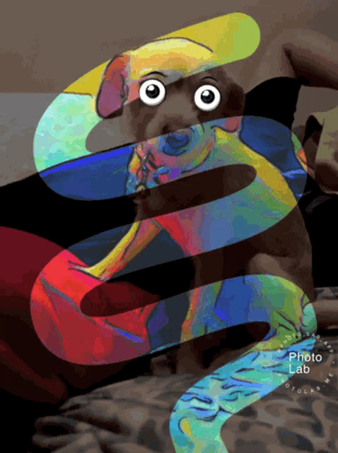 a colorful drawing of a dog with the word photo lab on the bottom right