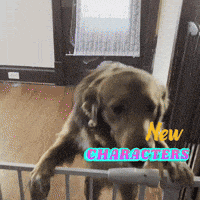 a dog is behind a fence with the words new characters written above it