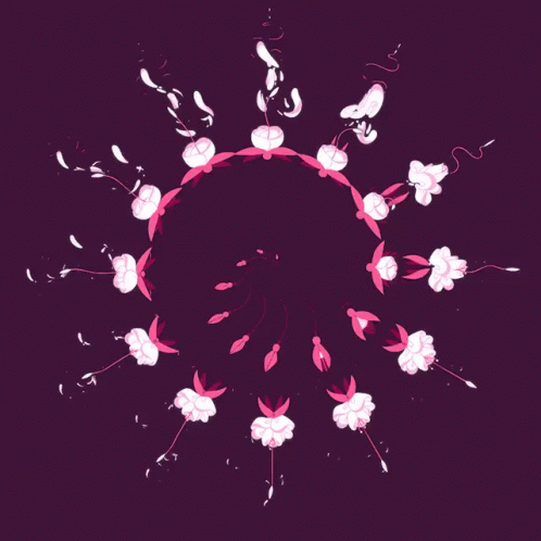 Flower Pink GIF - Flower Pink Spiral GIFs