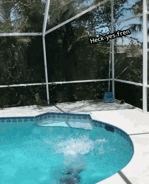 a person is jumping into a swimming pool with the caption heck yes fren