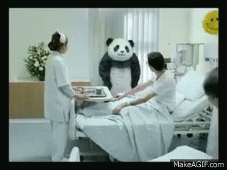 病院 点滴 パンダチーズ Never Say No To Panda GIF - Panda Cheese Hospital GIFs