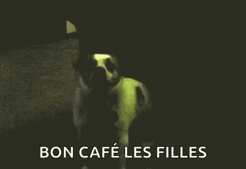 a small dog is sitting on a green surface with the words bon cafe les filles written on the bottom .