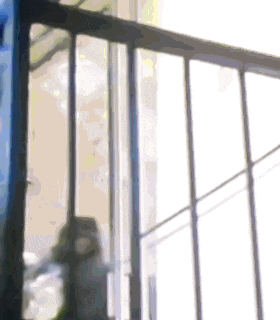 a blurred image of a person standing in front of a window .