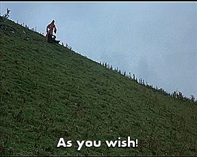 As You Roll GIF - Princess Bride Rolling Hill GIFs