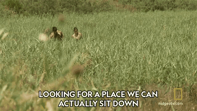 Looking For A Place We Can Actually Sit Down The Great Human Race GIF - Looking For A Place We Can Actually Sit Down The Great Human Race Wading Through A Swamp GIFs