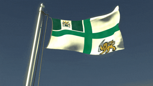 a green and white flag with a lion on it is waving in the wind