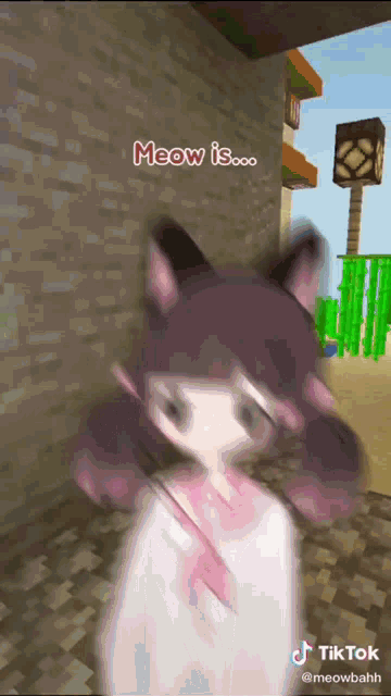 a tiktok video of a girl with cat ears and the words meow is