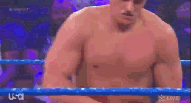 a man without a shirt is standing in a boxing ring on a tv show .