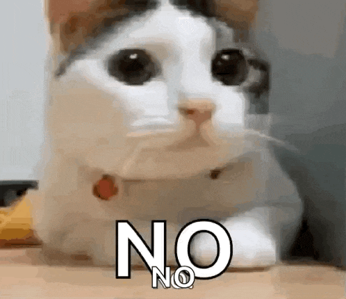 a cat is laying on a table with the word no written on it .