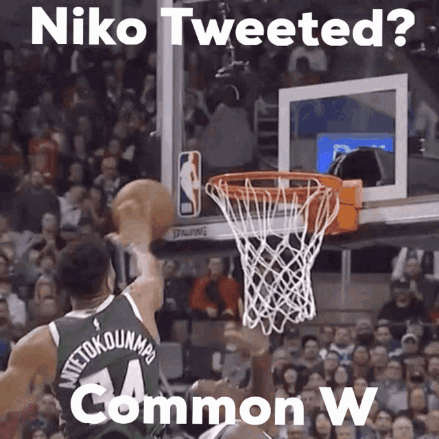 Niko Common W GIF - Niko Common W Embarrassment_l GIFs