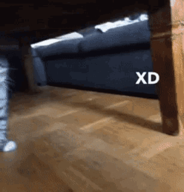 a cat standing next to a wooden table with xd written on it