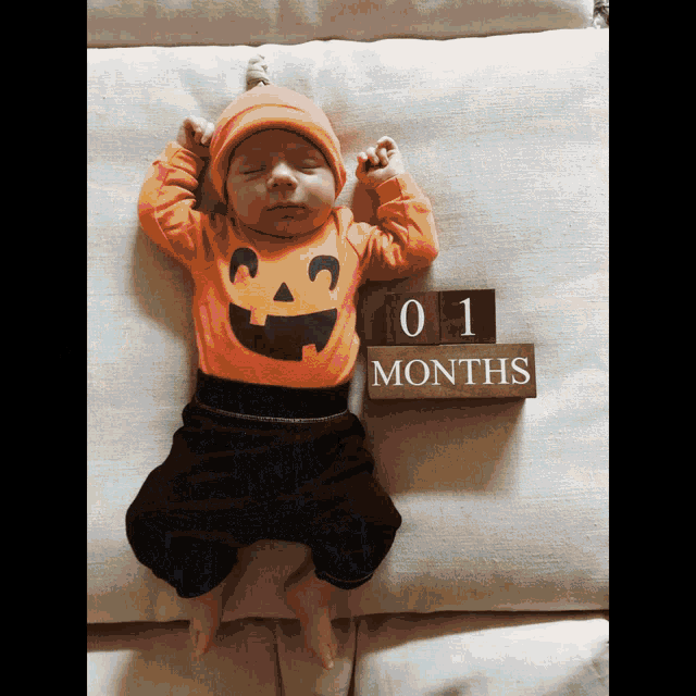 Bos 10months GIF - Bos 10months Baby GIFs