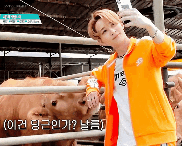 a man in an orange jacket taking a selfie with a cow in the background