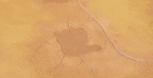 a close up of a footprint in the sand on a cracked wall .
