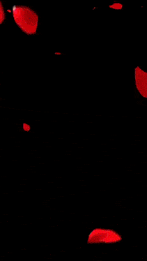 a woman in a red dress is surrounded by sparkles