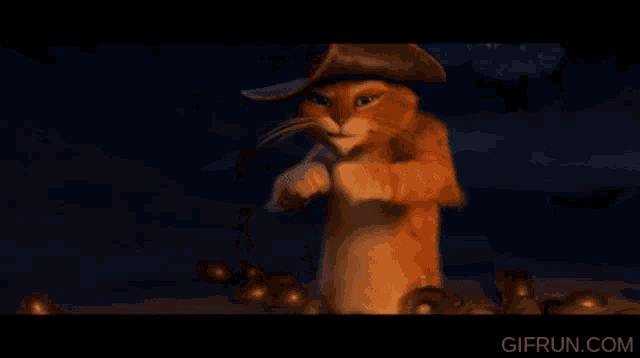 a cat wearing a cowboy hat is on a screen with gifrun.com written below it