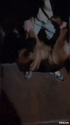 a person standing next to a dog with the words intolive at the top