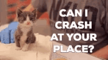 a person is holding a small kitten with the words can i crash at your place