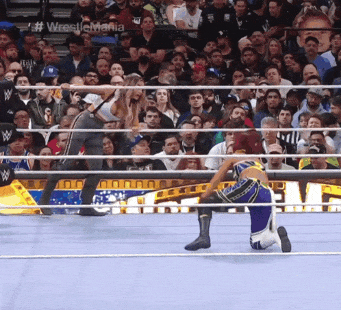 wrestlers in a ring with the word wrestlemania on the bottom right