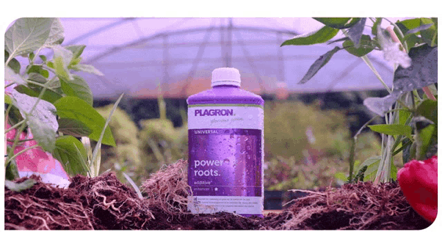 Plagron Power Roots GIF - Plagron Power Roots Plants GIFs