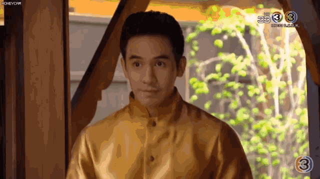 a man in a gold shirt is standing in front of a window with a tree in the background .