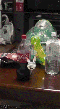 a bottle of coca cola is sitting on a table