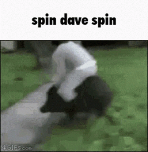 Dave David GIF - Dave David Spinner GIFs