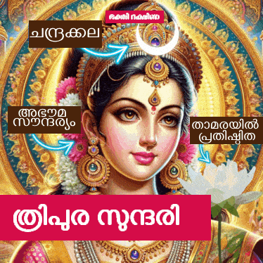 a painting of a woman with a crown on her head and the words ' malayalam ' on the bottom right corner