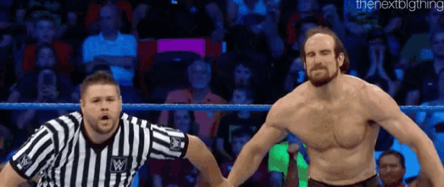 a referee is standing next to a wrestler in a ring .