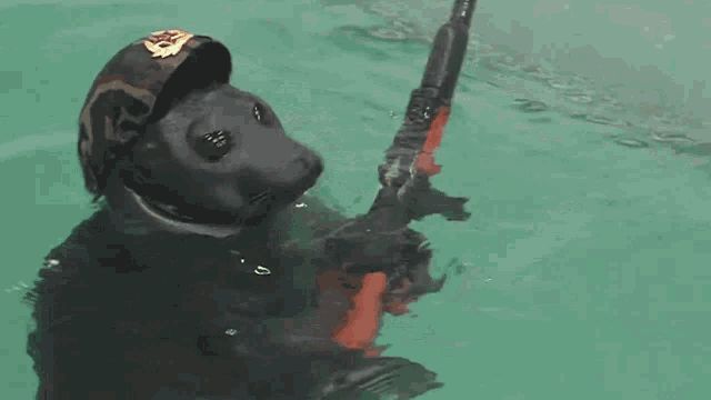 a seal wearing a helmet and holding a gun is in the water