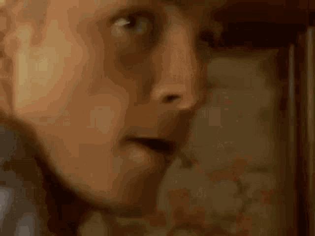 a close up of a man 's face looking at the camera .