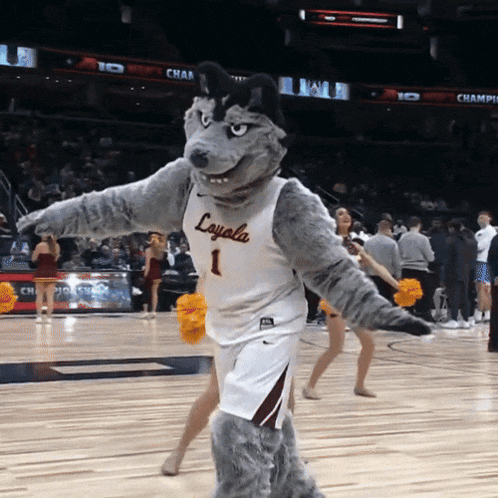 a mascot for the loyala basketball team is dancing on the court