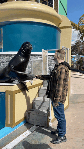 a man standing next to a seal in a cage
