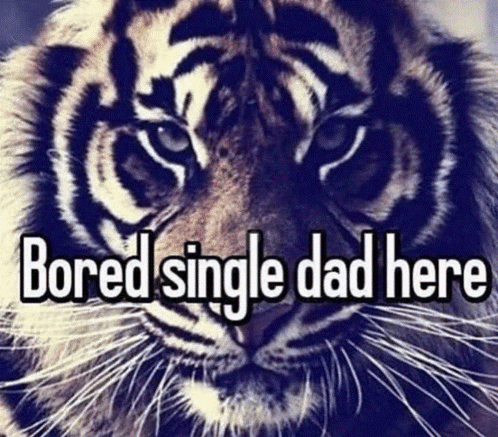 Bored Single Dad Here GIF - Bored Single Dad Here GIFs