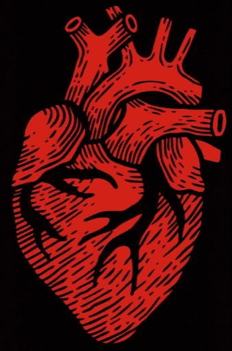 a red heart on a black background with the number 0