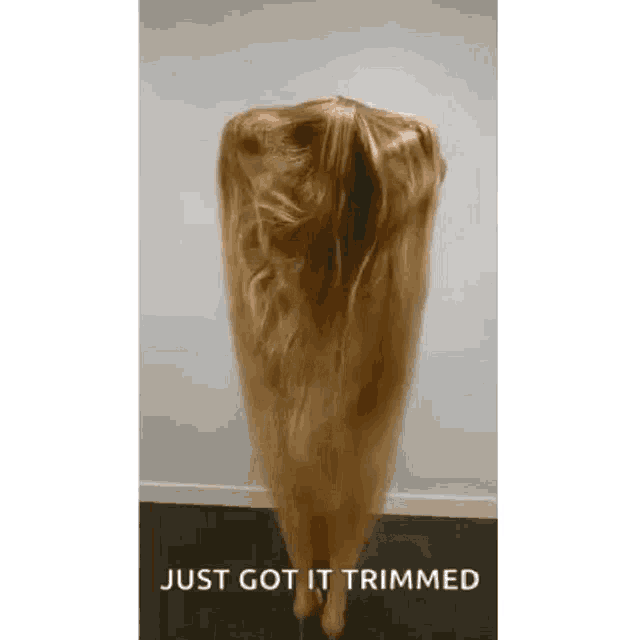 Long Hair Rapunzel Hair GIF - Long Hair Rapunzel Hair Dlugiewlosy GIFs