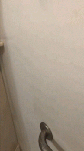 Dildo Dildo On A Wall GIF - Dildo Dildo On A Wall Suction Cup Shower Wall GIFs
