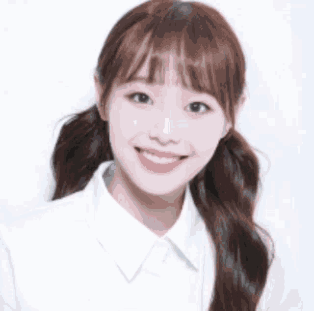 a young woman with pigtails is smiling for the camera .