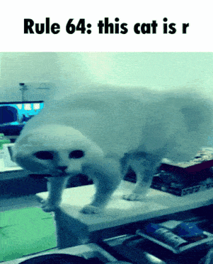 rule 64 : this cat is r is written above a white cat
