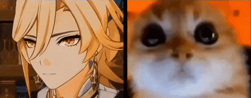 a close up of a cat 's face next to a close up of a boy 's face .