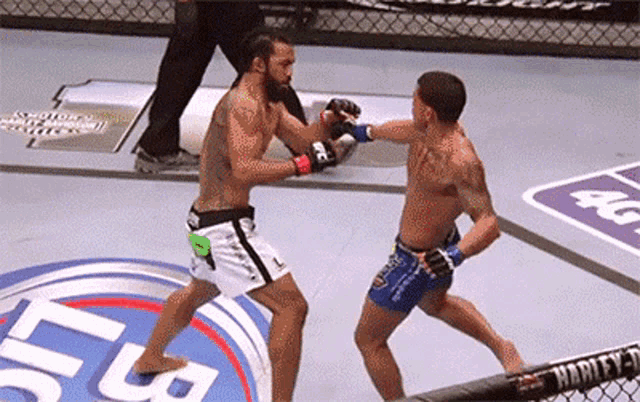 two fighters are fighting in a ring with a harley davidson sign in the background